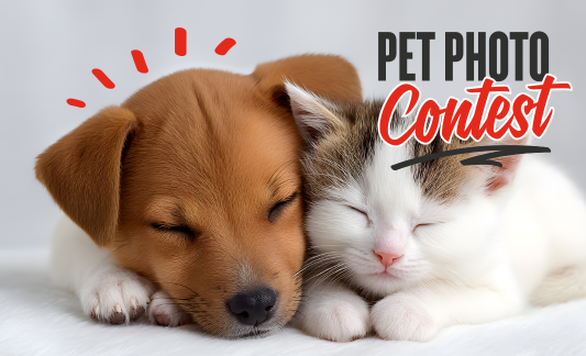 Pet Photo Contest