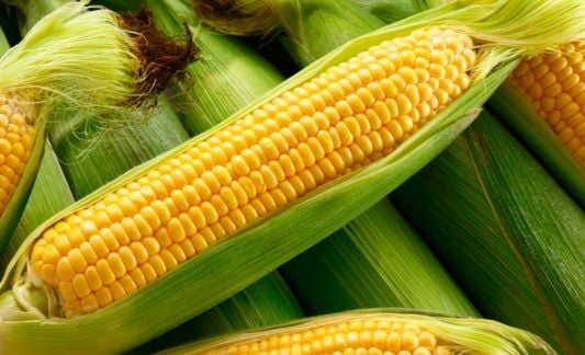 sweet corn